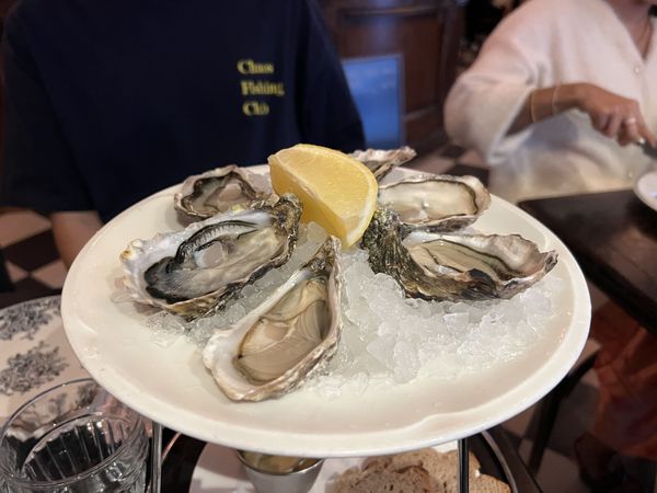 Les Antiquaries - oysters