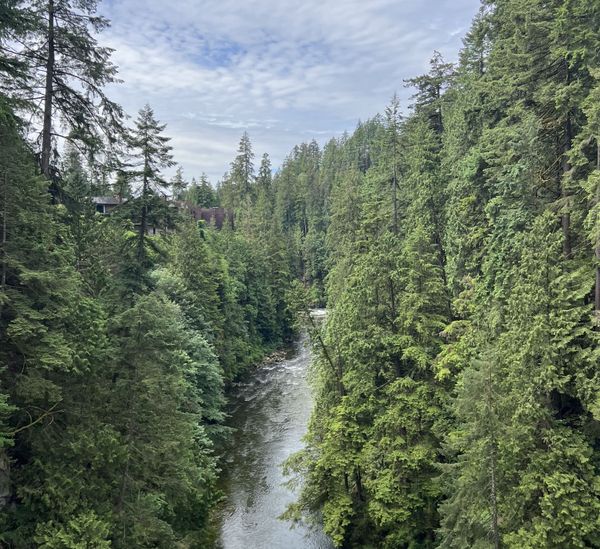 Capilano Suspension Bridge Waterfall view