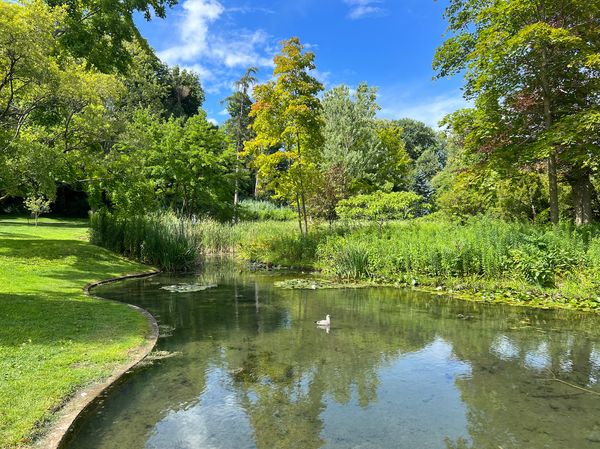 Pond on Niagara River Parkway