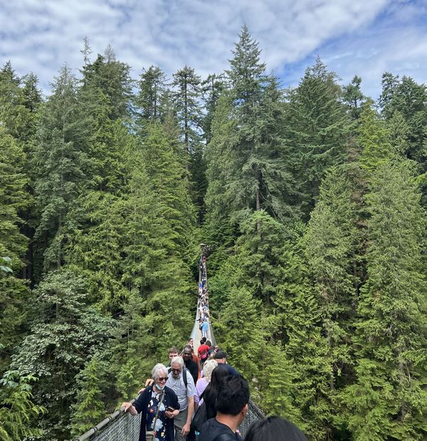 Capilano Suspension Bridge