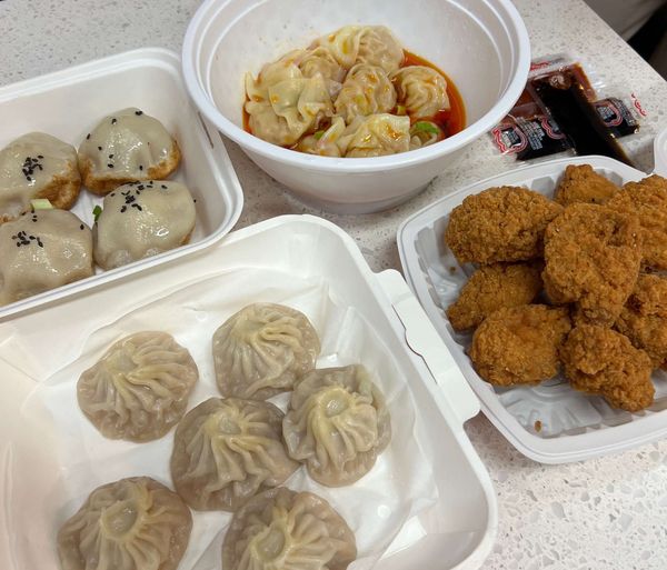 Juicy Dumpling in Chinatown, Toronto