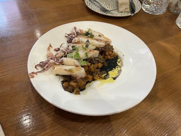 Cuttlefish