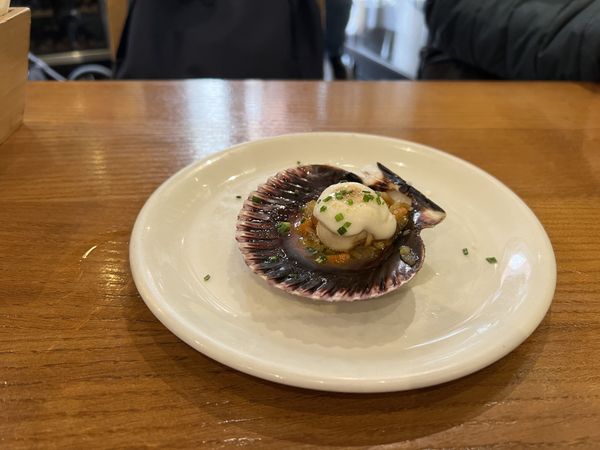 Pacific Scallop