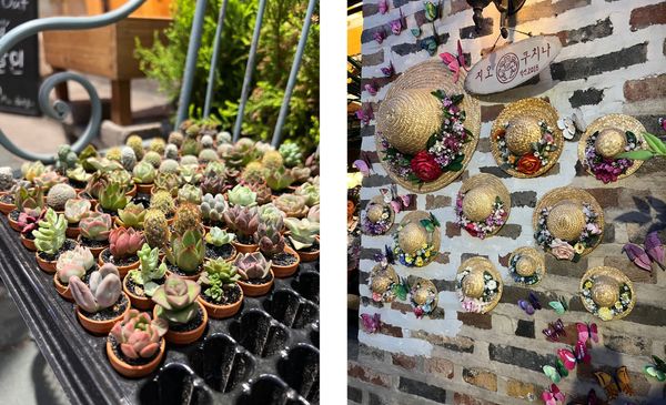 Succulents and hats in Ikseondong