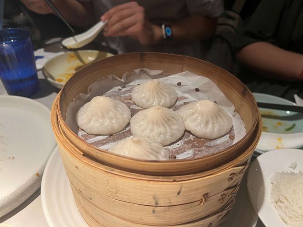 Xiaolongbao at uluh, NYC