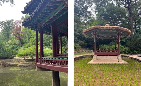 Changdeokgung palace pavilions