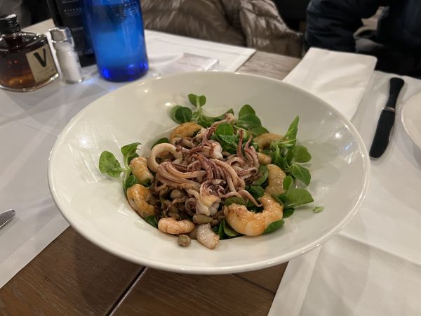 Squid Salad