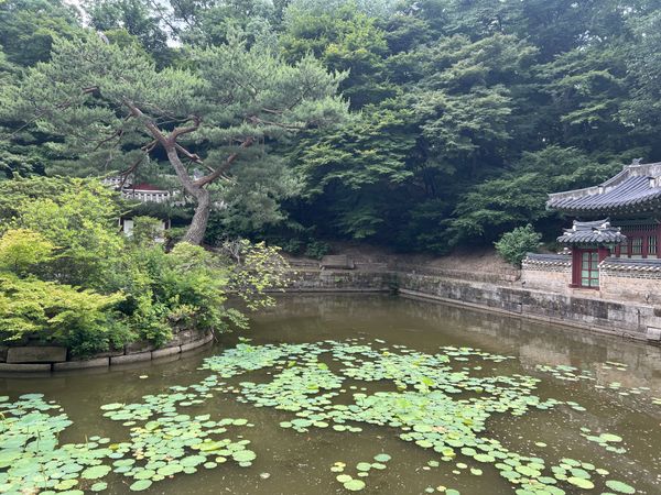 Changdeokgung palace pond